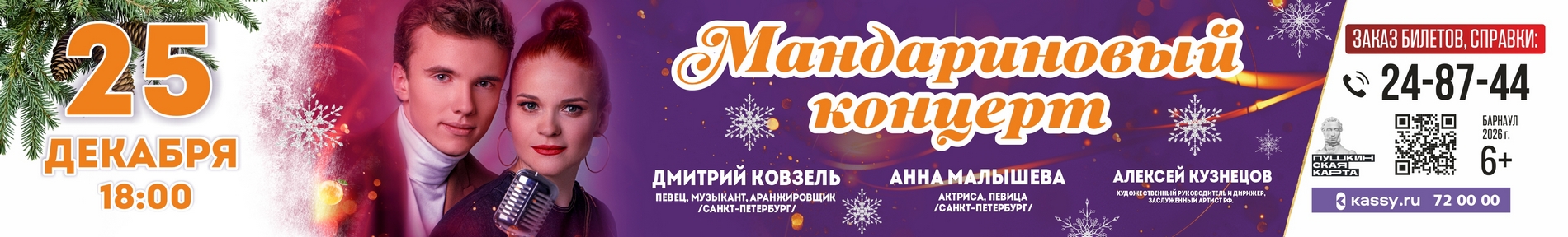 Баннер концерта